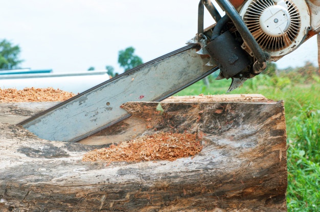 Tipi električnih kosilnic